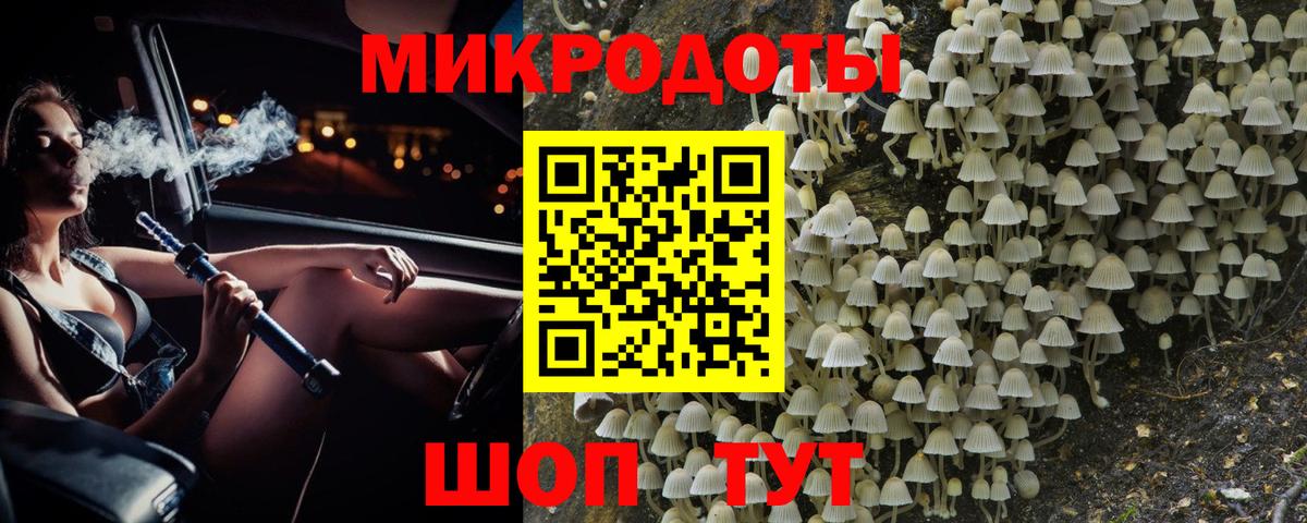 Канаш  Галлюциногенные грибы MAGIC MUSHROOMS  сколько стоит  Вход с VPN 