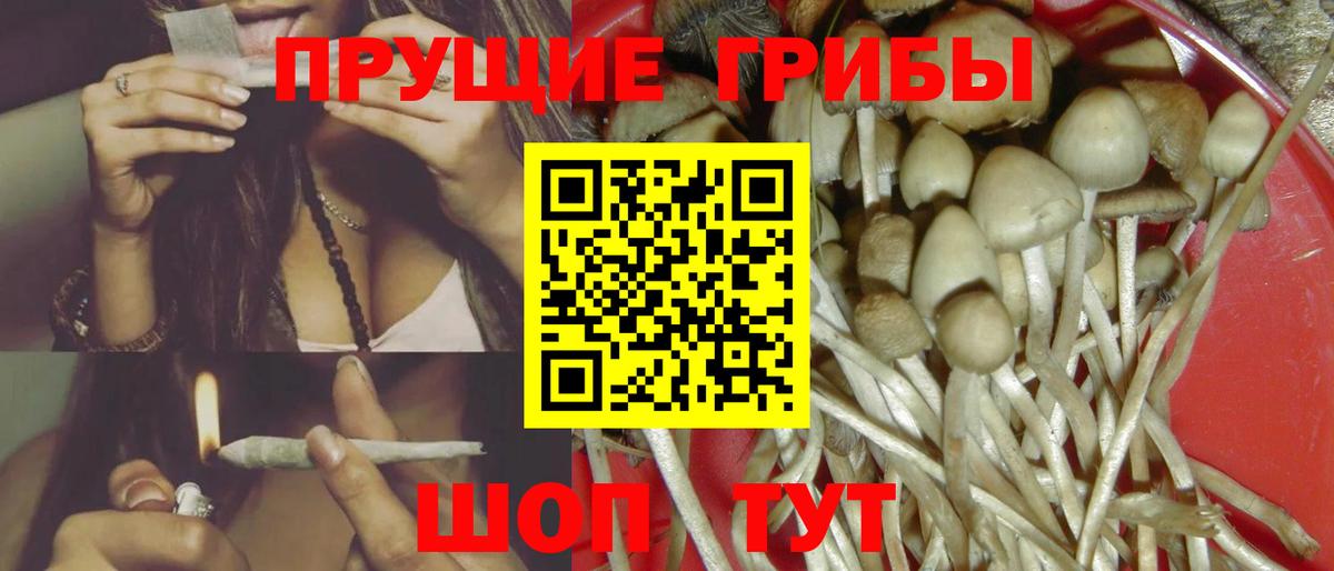 Галлюциногенные грибы Magic Shrooms Канаш